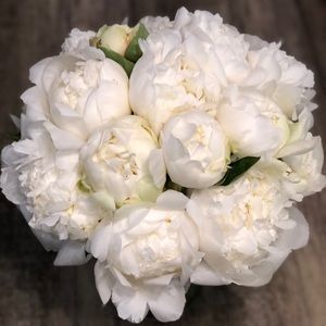 Meet your Posher, Lesslie